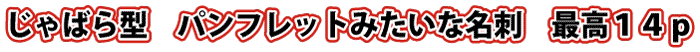 14p冊子みたいな名刺